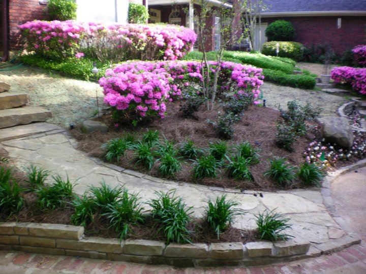 Shrub and flowers