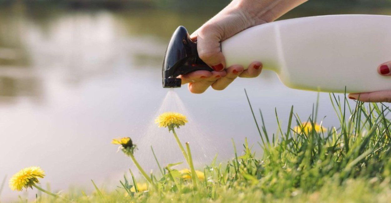 Spraying pesticide on weeds