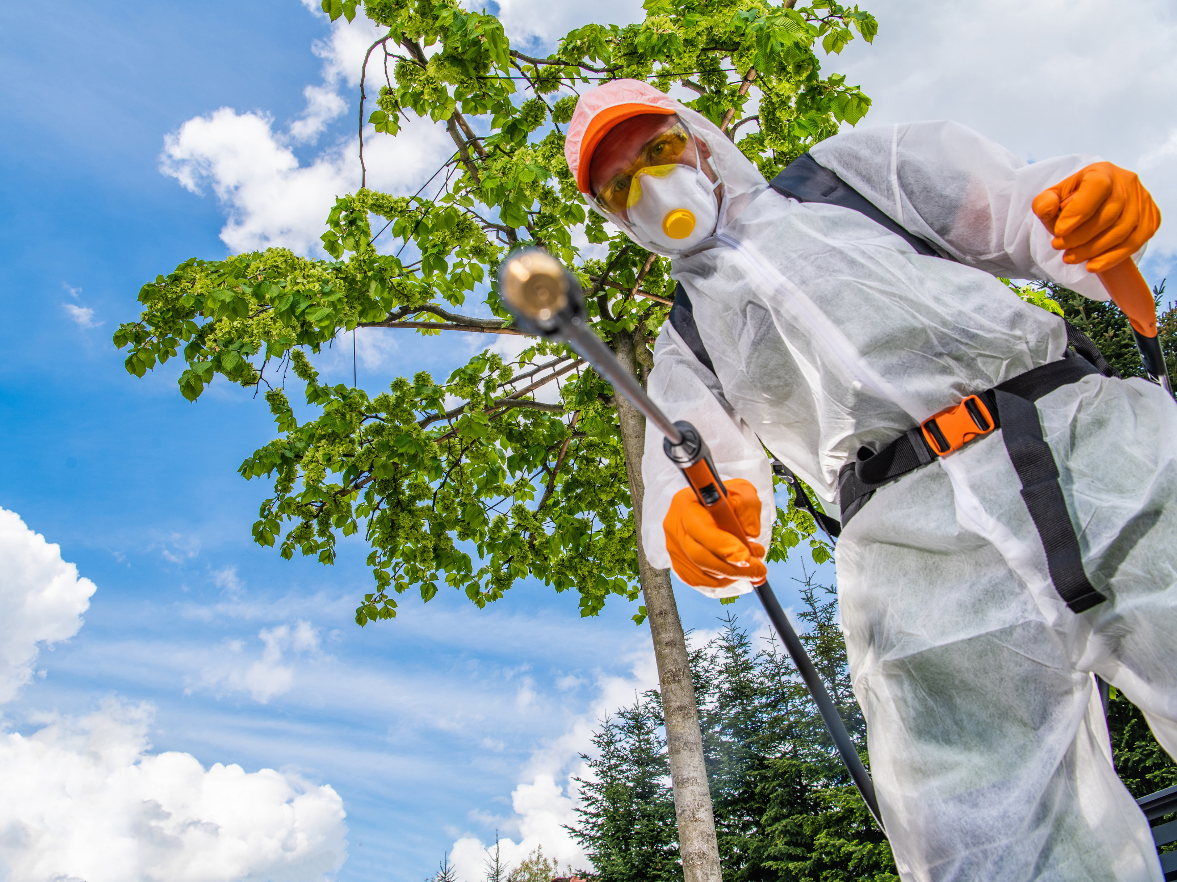 Technician doing pest control service for ants and ticks in a lawn